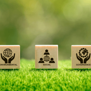 Demystifying ESG